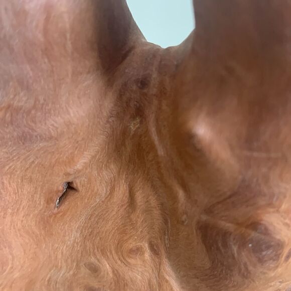 Boho Cypress Knee Home Decor Piece - Picture 15 of 17